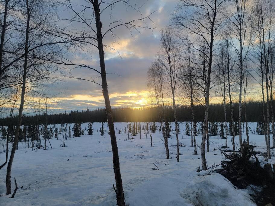 Cozy Apartment Between The Rivers Soldotna Exterior photo